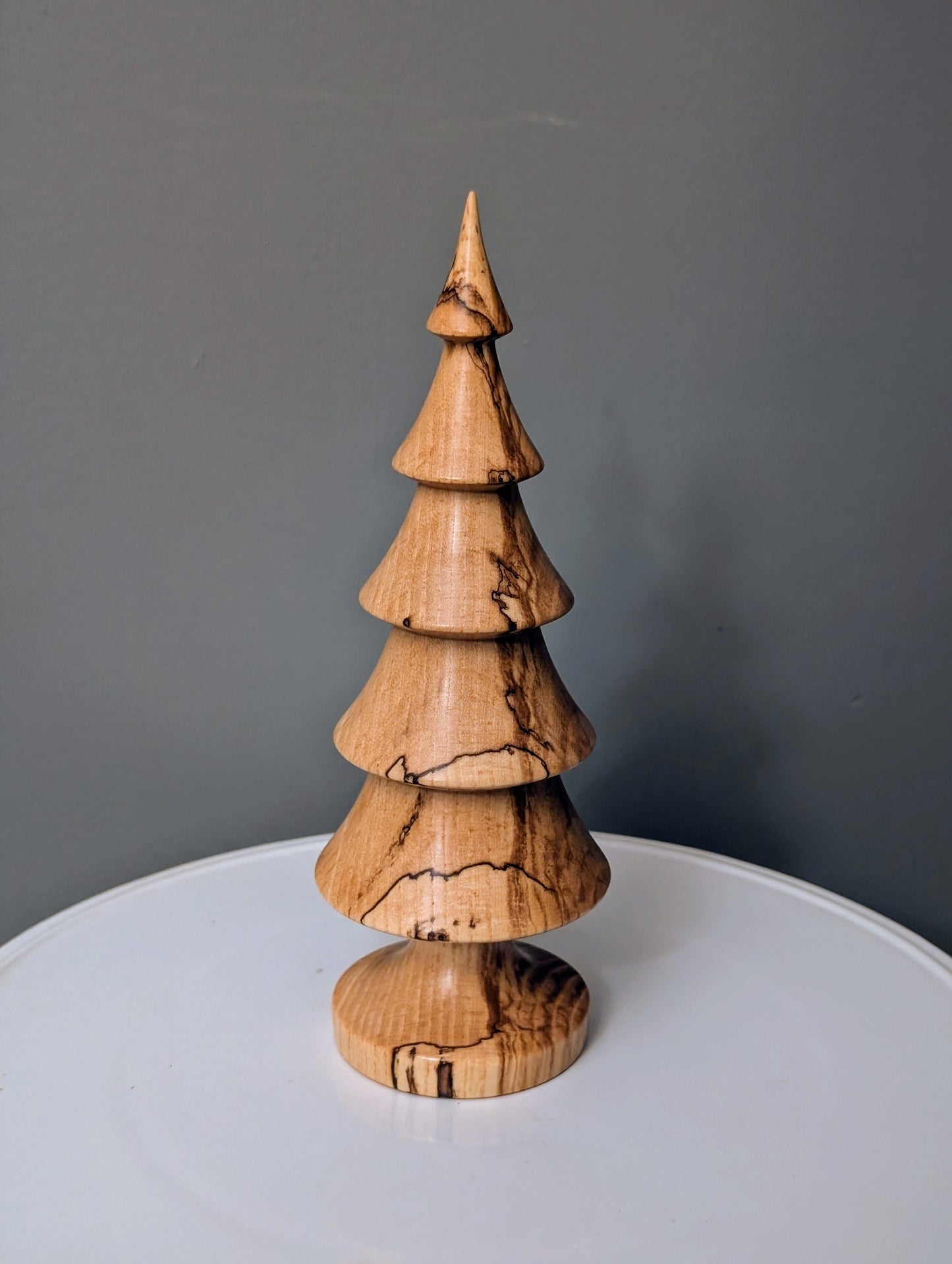 Spalted Ash Tree
