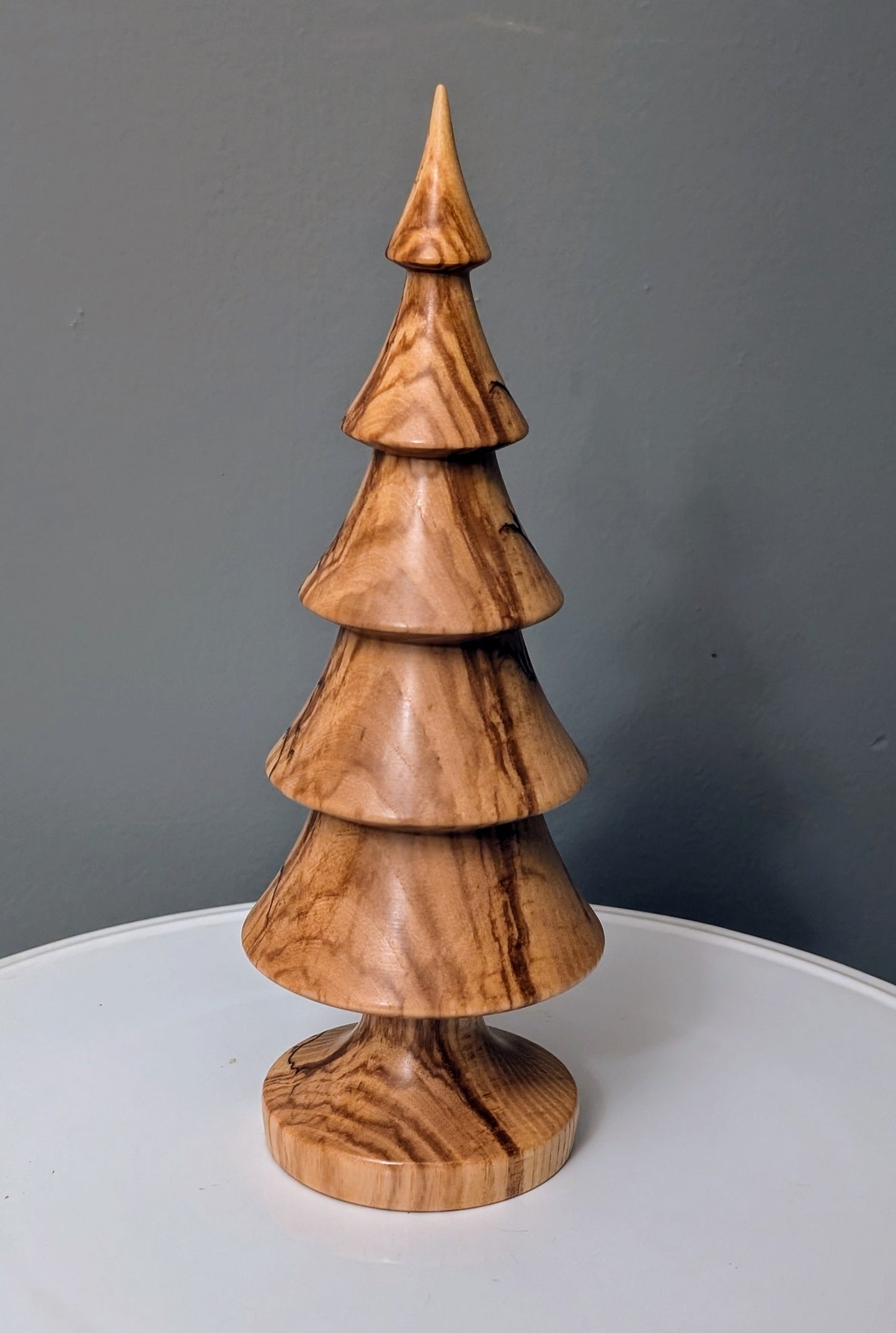 Spalted Ash Tree