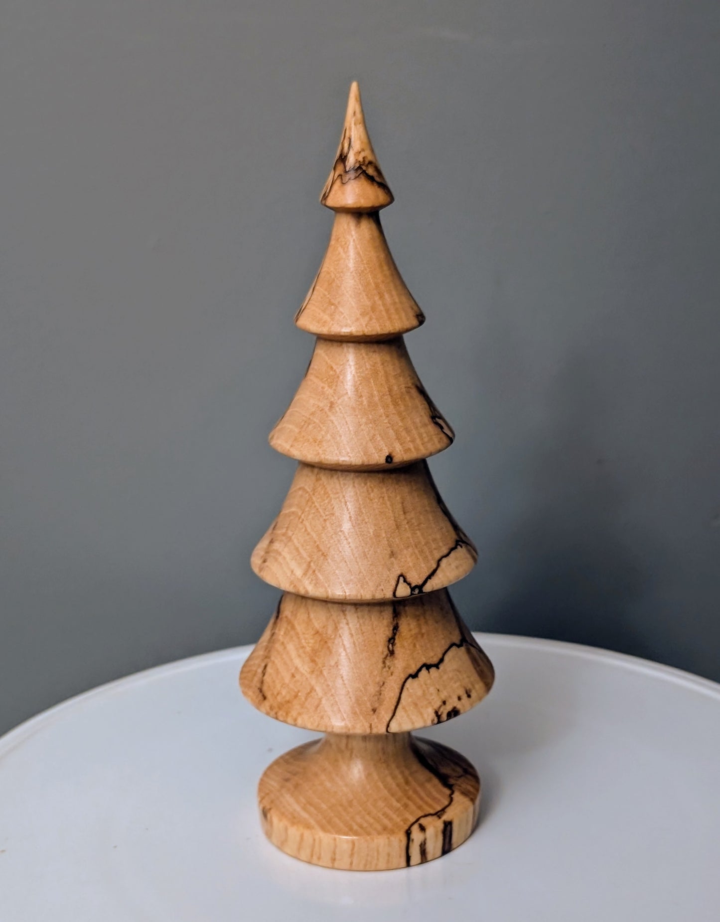 Spalted Ash Tree