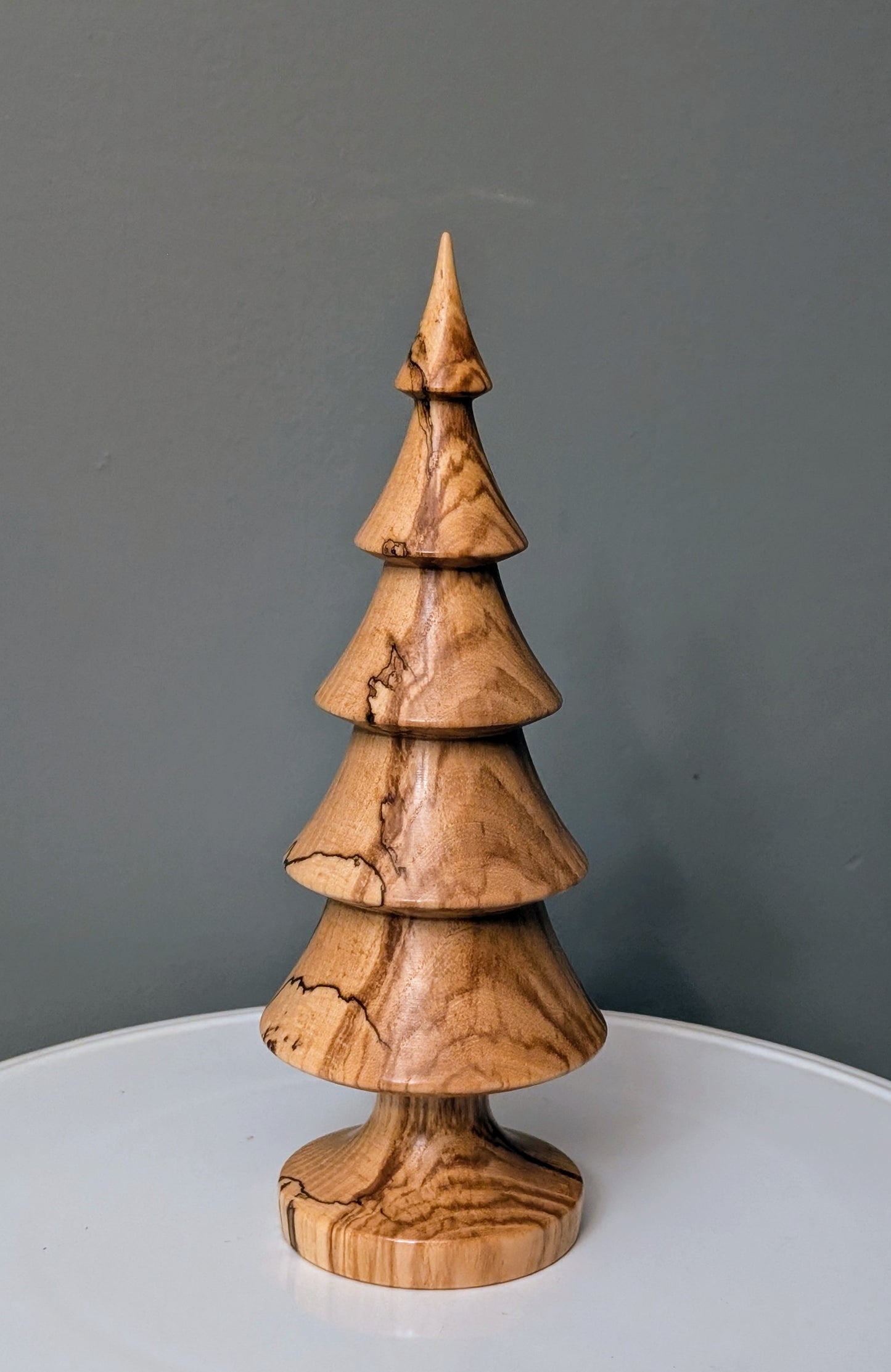 Spalted Ash Tree