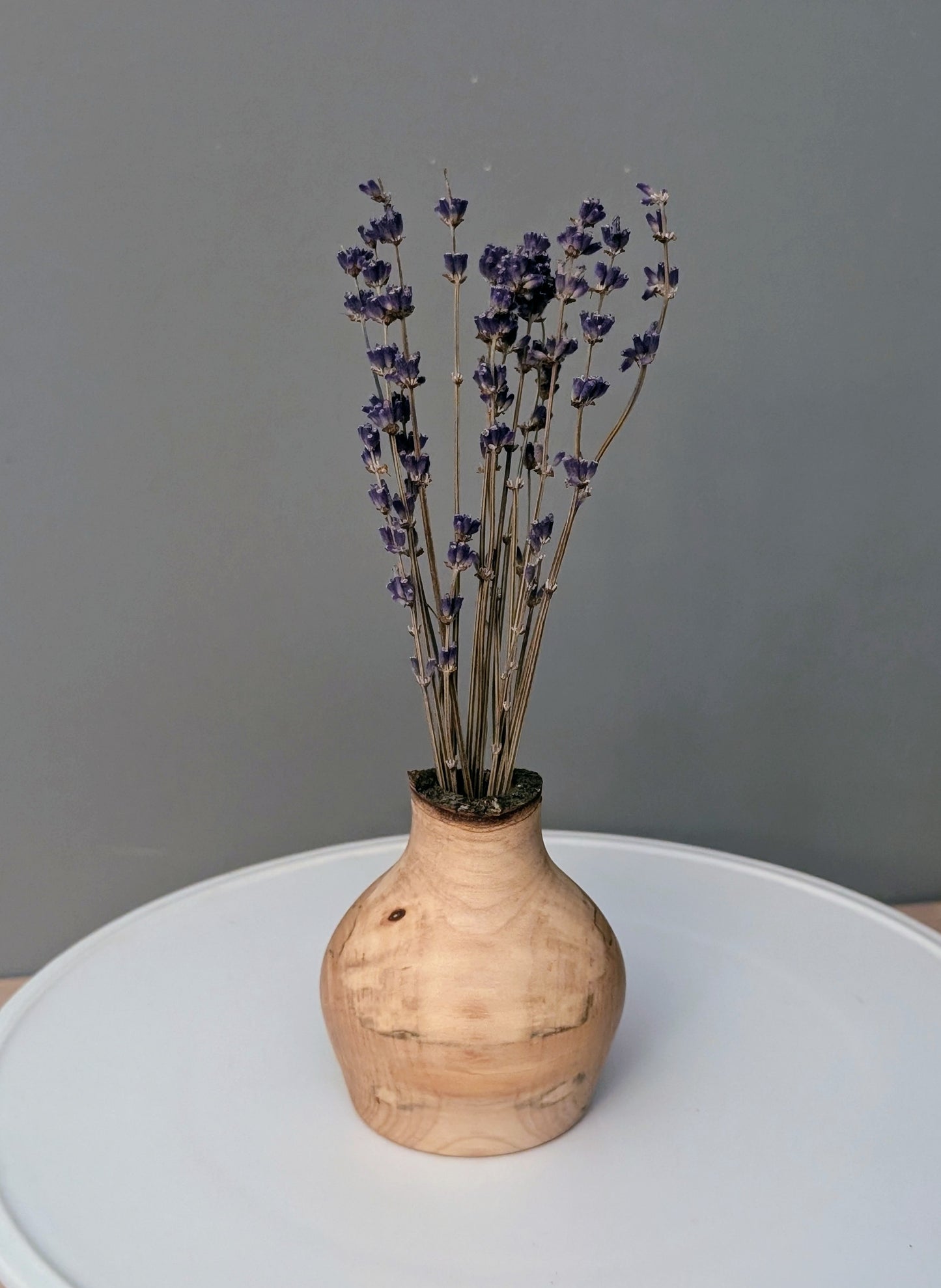 Sugar Maple rustic dry vase #282