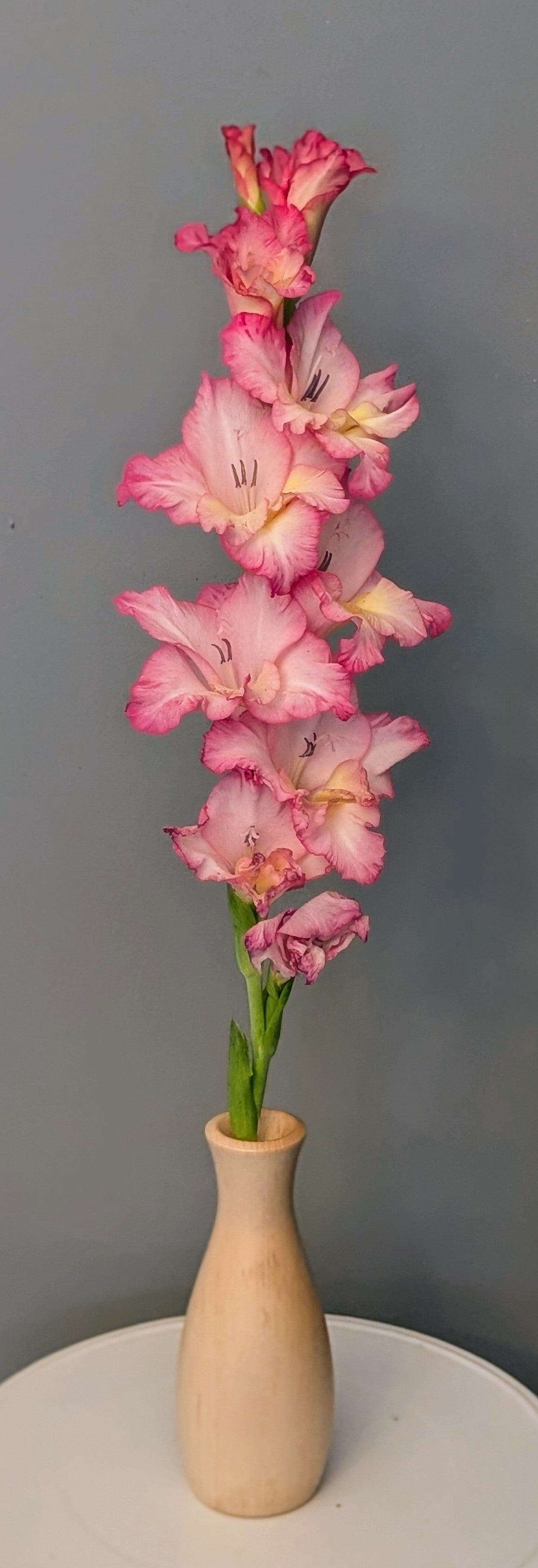 Maple Vase