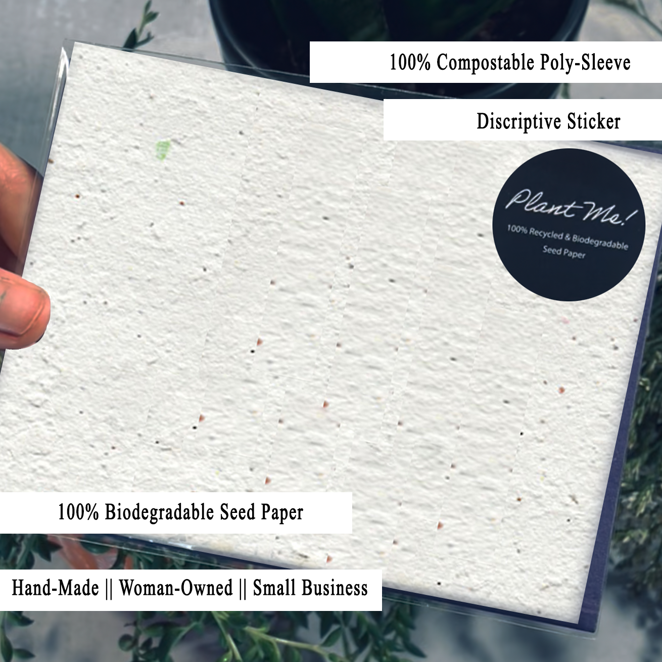 Blooming Wishes Eco-Friendly Seed Paper Greeting Card