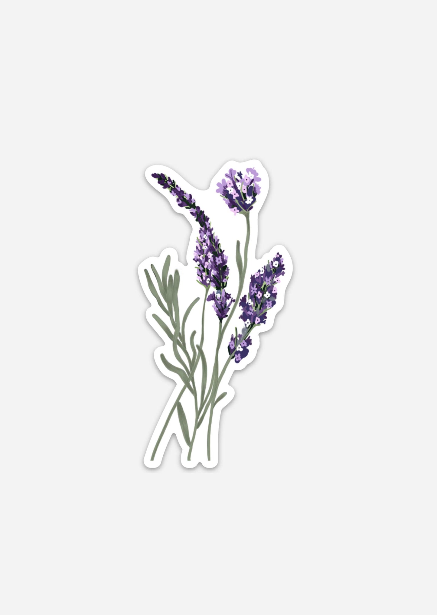 Lavender Dreams Sticker