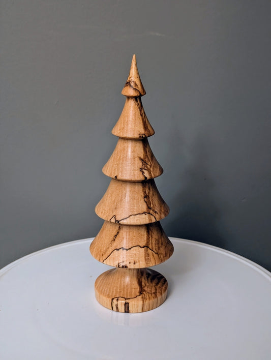 Spalted Ash Tree