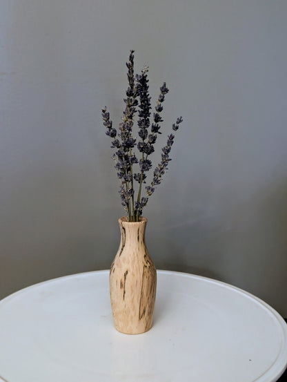 Spalted Sycamore Dry Vase #227