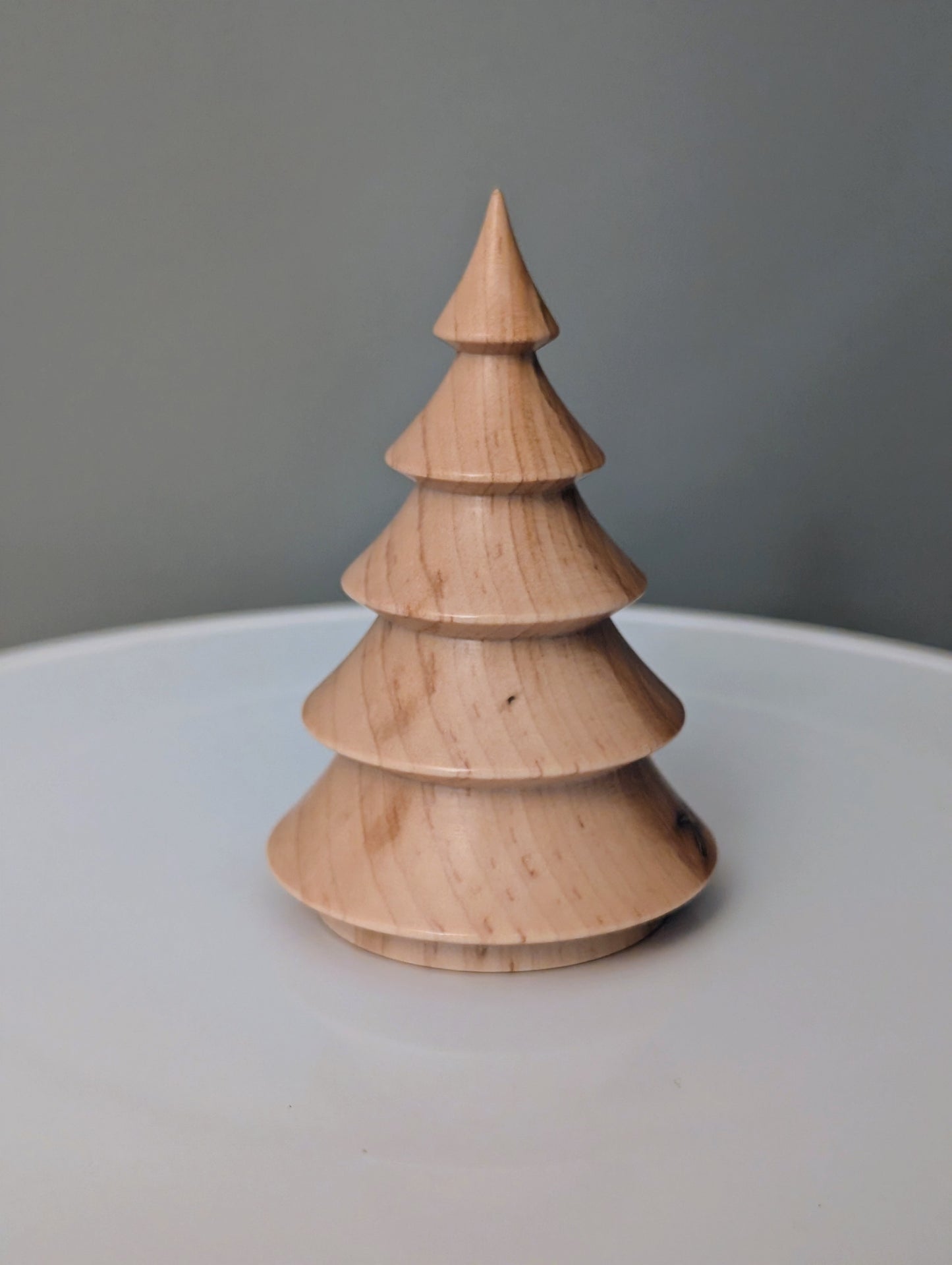 Maple Tree #263