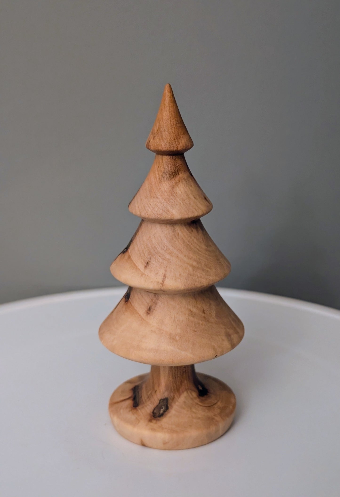 Sugar Maple Tree # 273