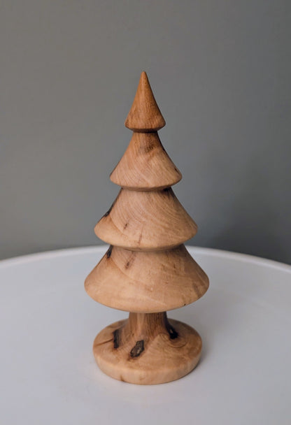 Sugar Maple Tree # 273