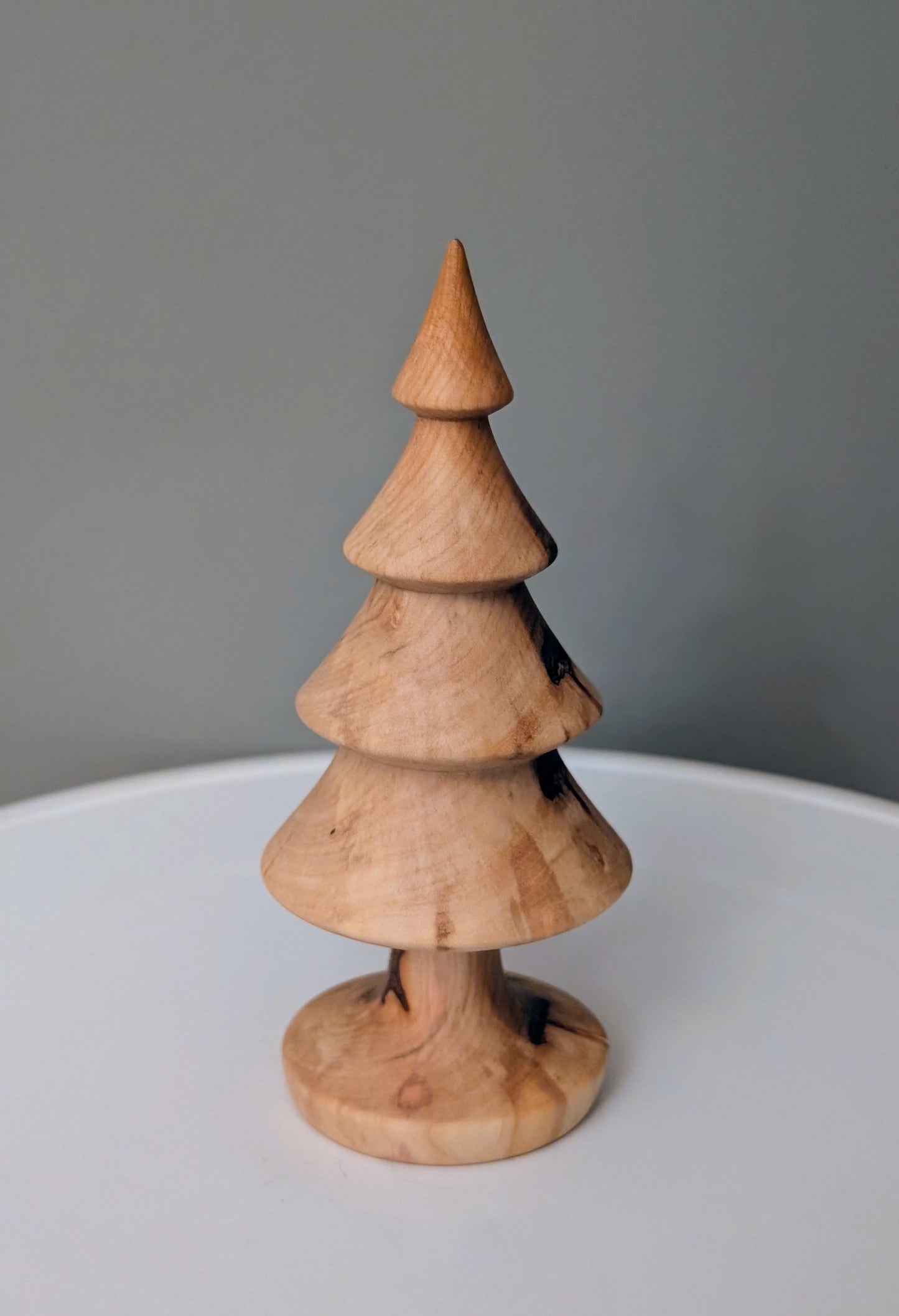 Sugar Maple Tree # 273