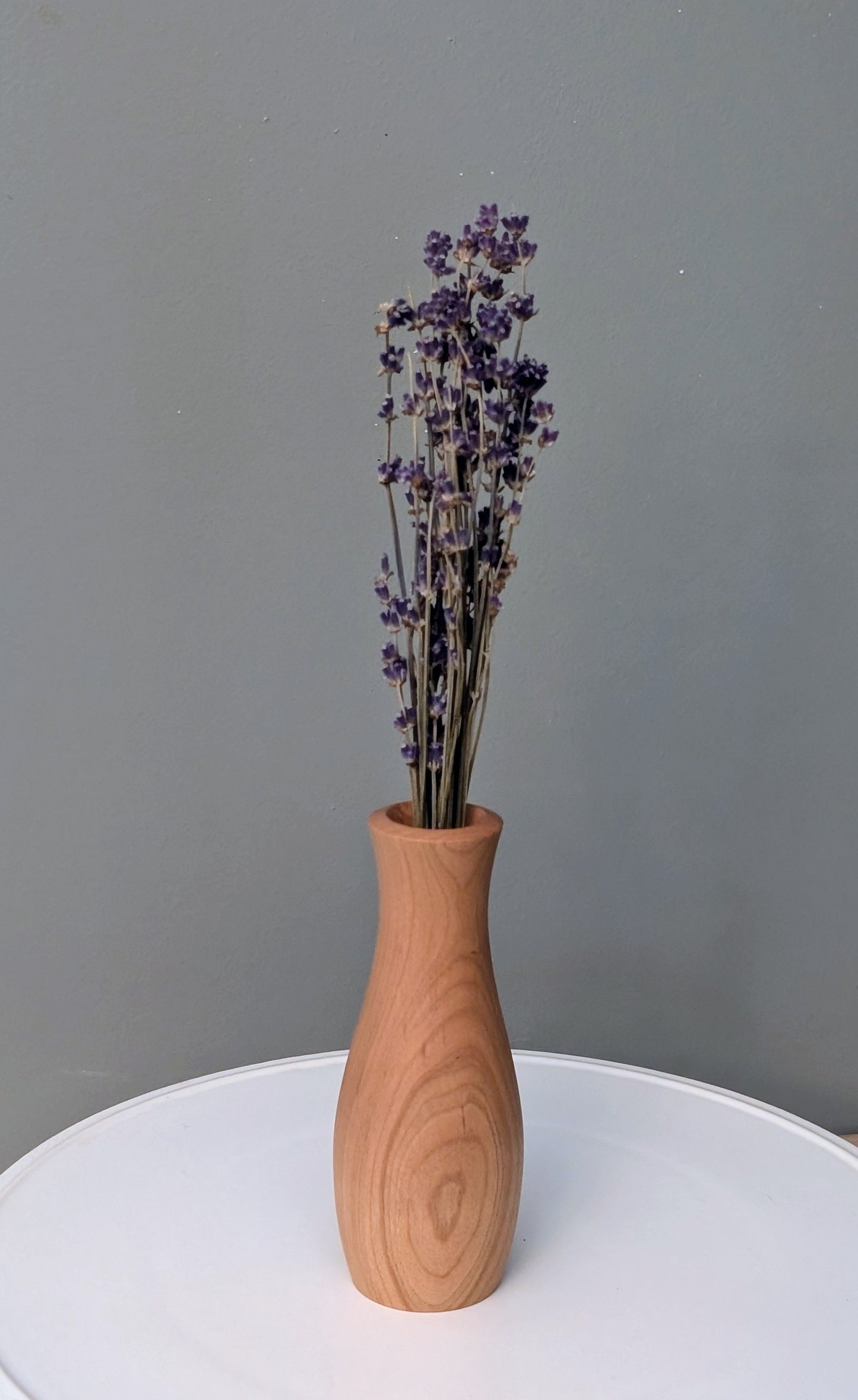 Black Cherry Live Vase #279