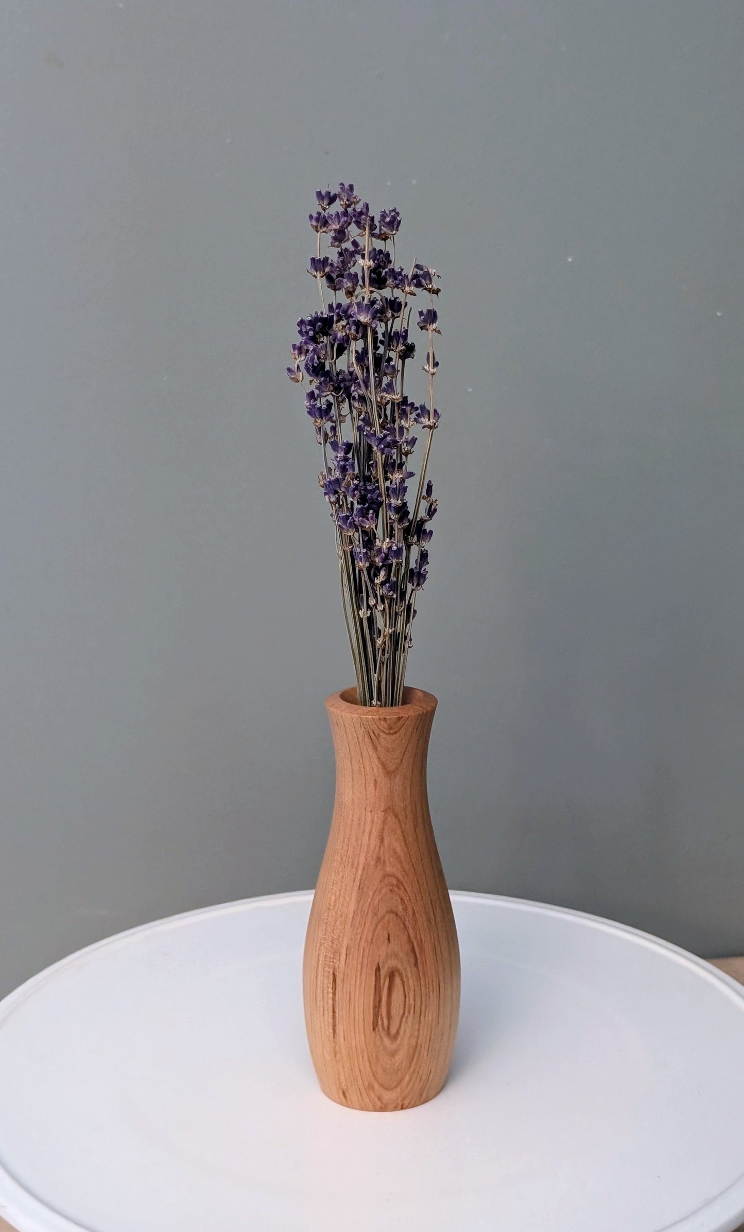 Black Cherry Live Vase #279
