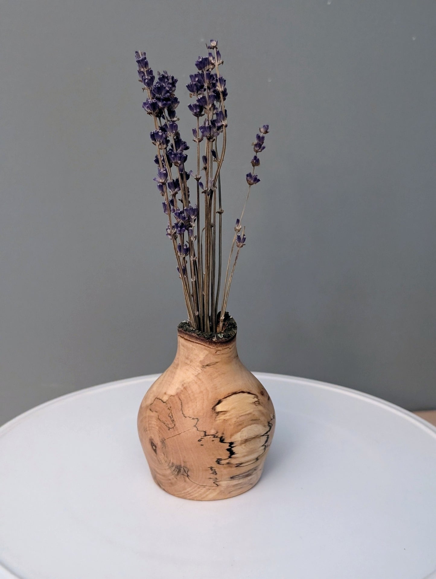 Sugar Maple rustic dry vase #282
