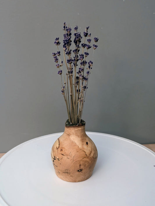 Sugar Maple rustic dry vase #282