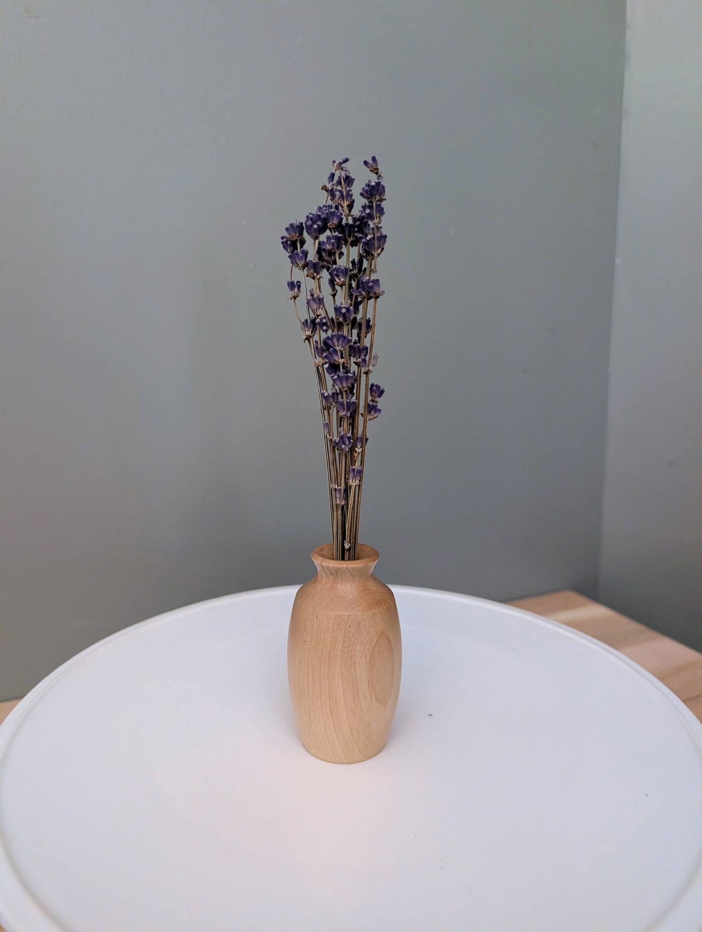 Birch Dry Vase #286