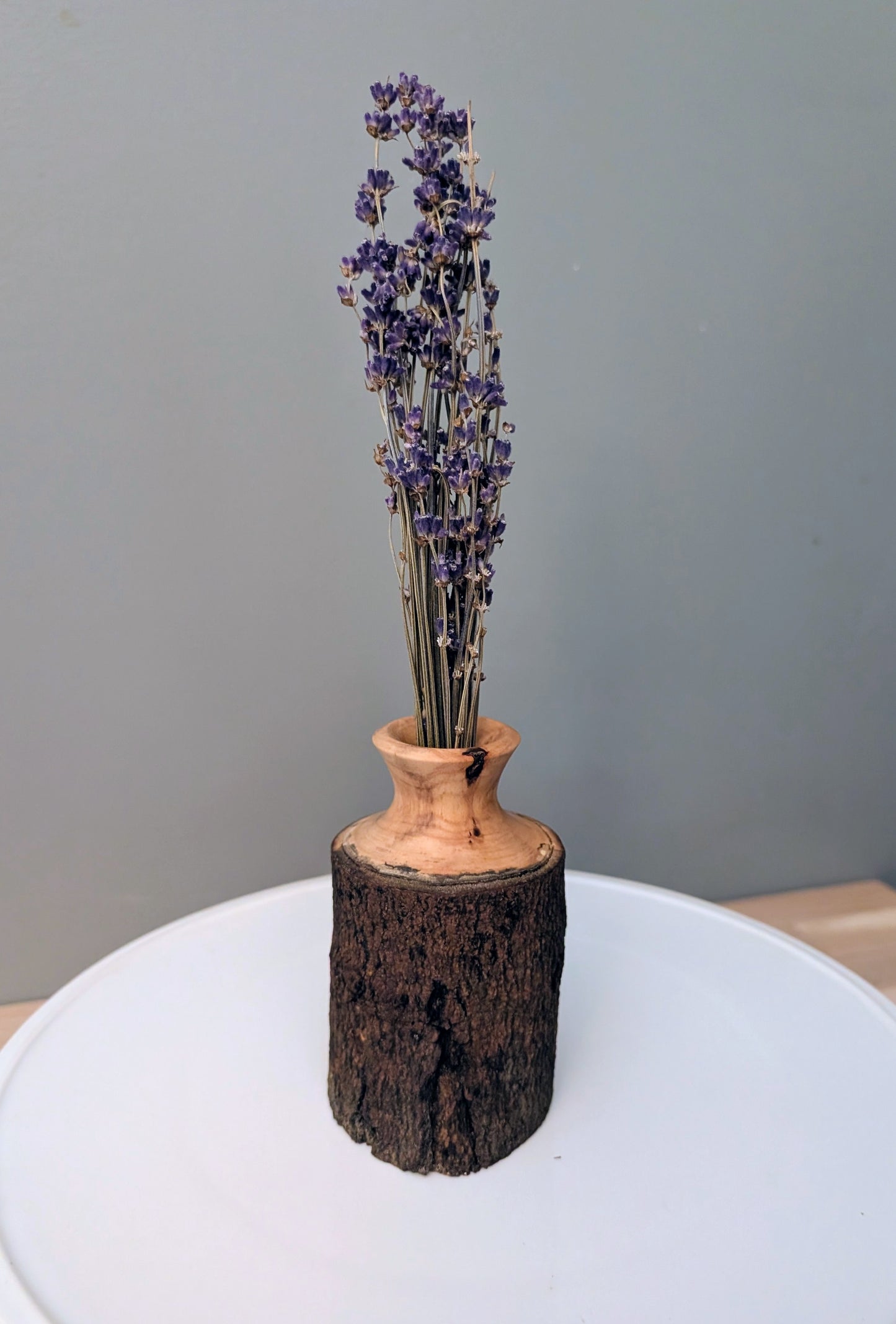 Sugar Maple rustic vase #285