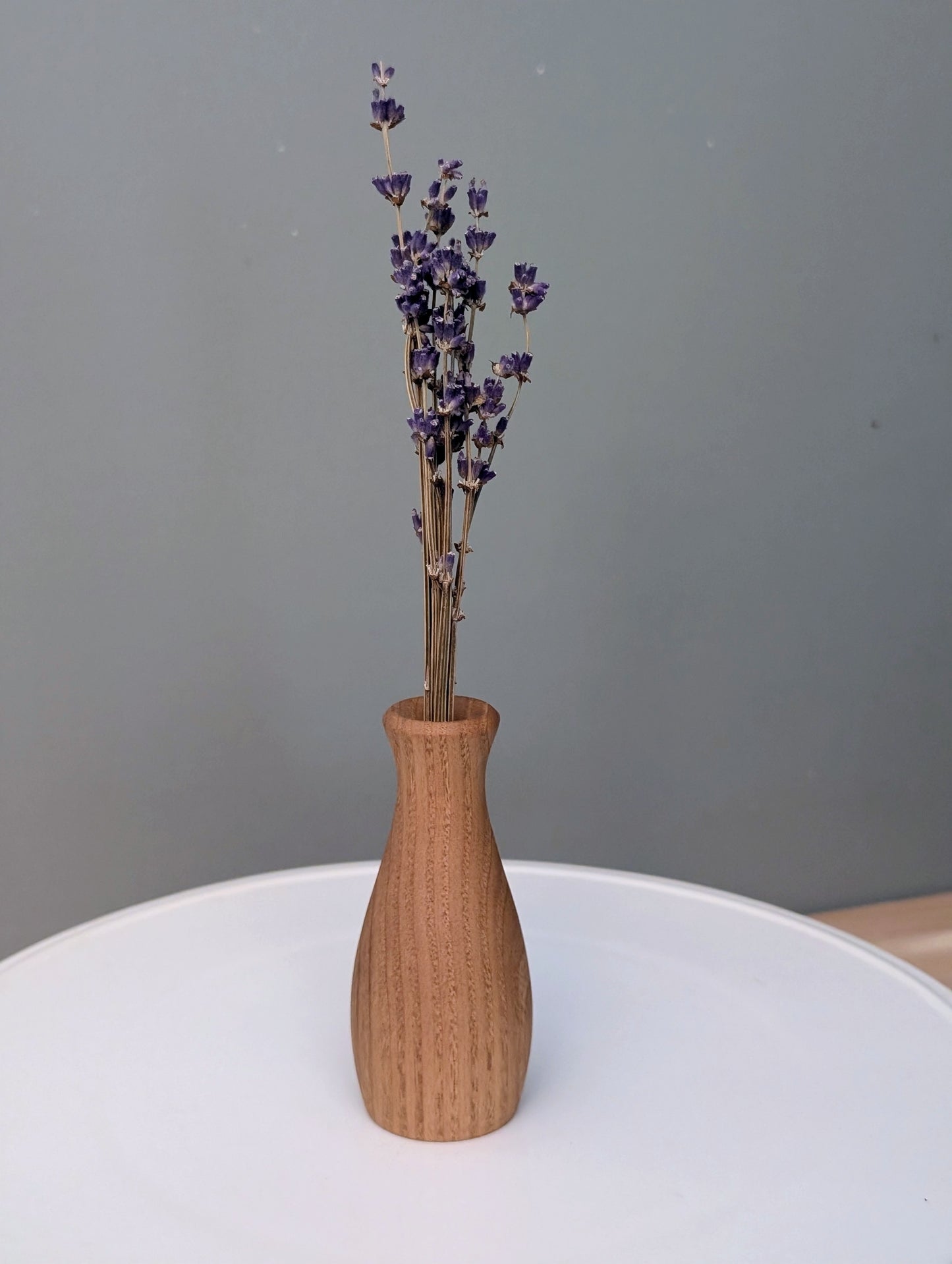 Black Cherry Live Vase #279