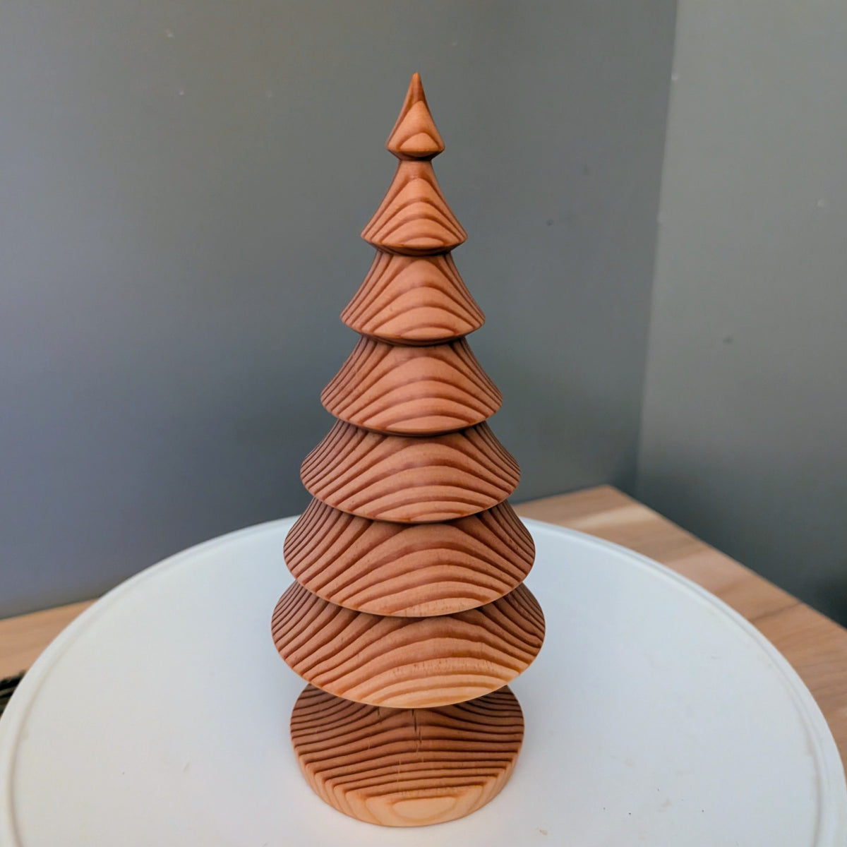 Douglas Fir Tree #300