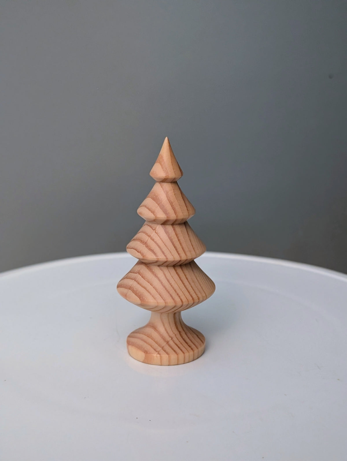 White Pine Tree # 310