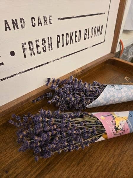 Lavender Posy Bouquet - Farm-Grown Dried Lavender