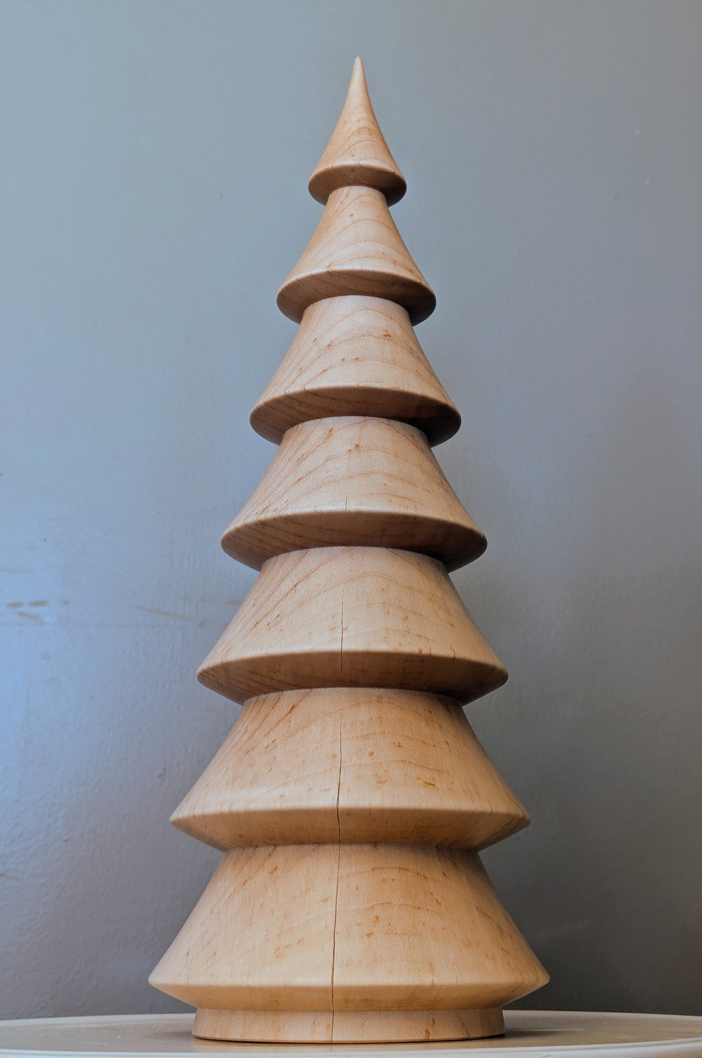 Large Maple Tree
