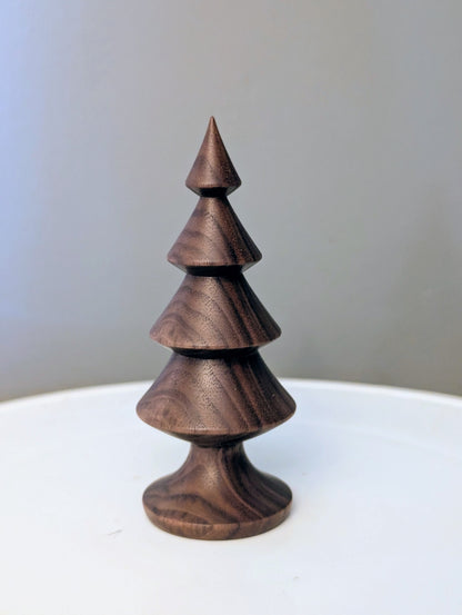 Black walnut tree #251