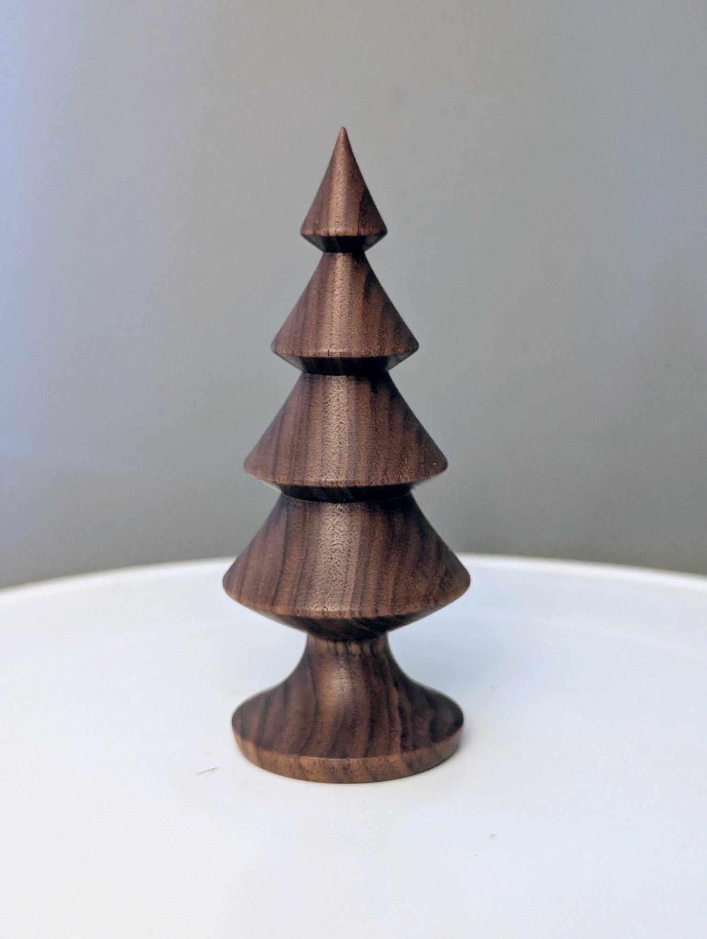 Black walnut tree #251