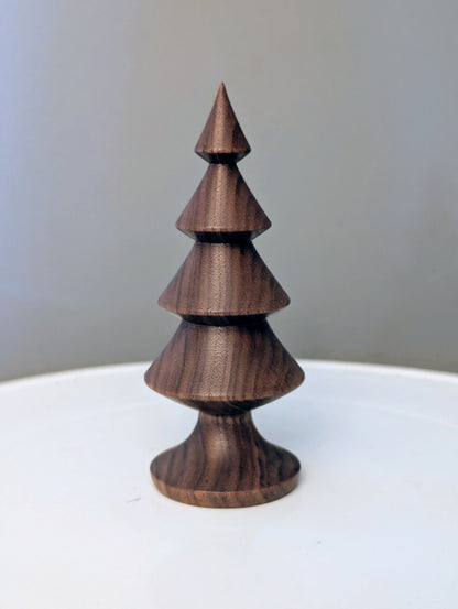 Black walnut tree #251